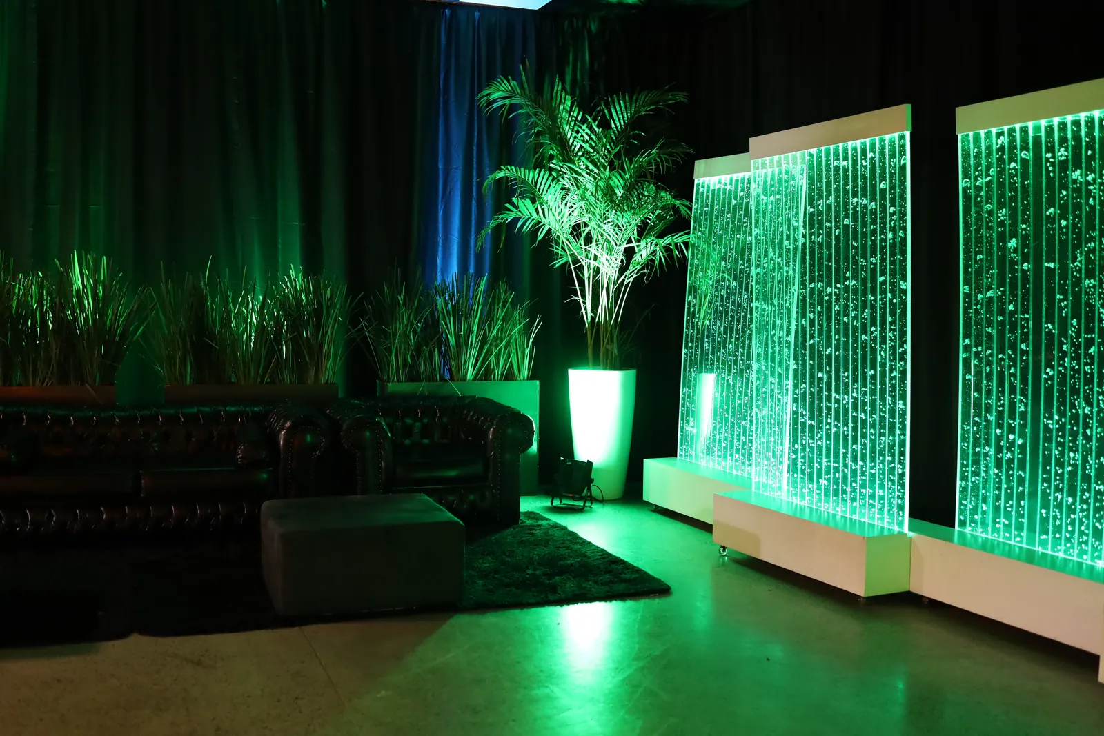 Parede iluminada em verde com plantas na decoração
